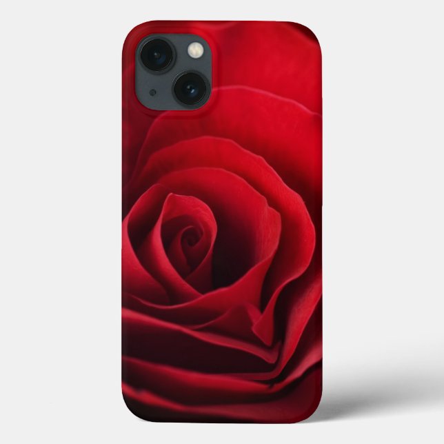 Valentine Red Rose (Verso)