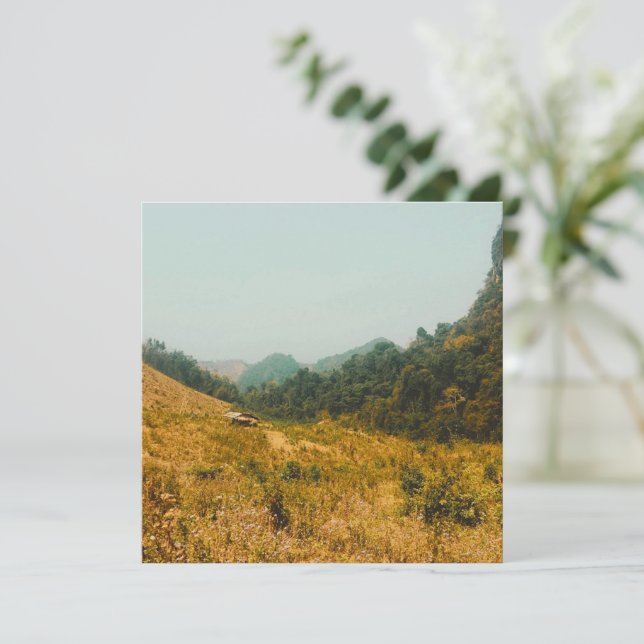 Vales peludos do Laos (Em pé/Frente)