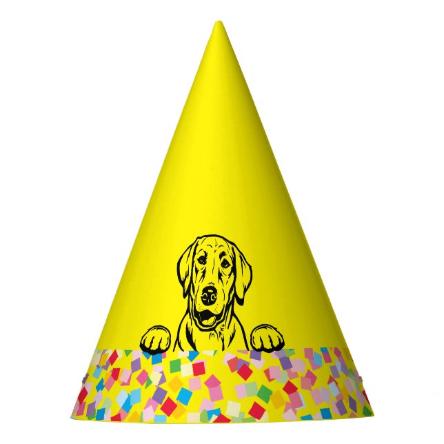 "Vamos à PAWTY" Chapéus do Partido Labrador Confet (Frente)
