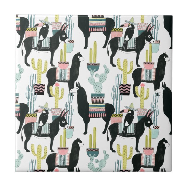 Vamos Taco Sobre Amor | Padrão Llama & Donkey (Frente)