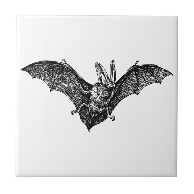 Vampiro Vintage Bat Gothic (Frente)