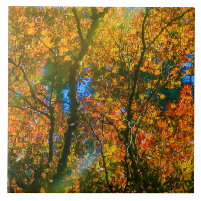 Van Dusen Botanical Garden Vancouver, Canadá (Frente)