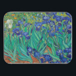Van Gogh Irises Painting<br><div class="desc">Van Gogh Irises pintura quebra-cabeça</div>