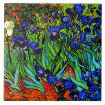 Van Gogh - Irrisões, bela pintura<br><div class="desc">A famosa pintura de Vincent van Gogh,  Irises,  em 1889</div>