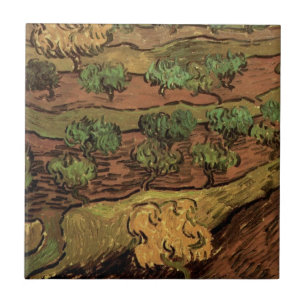 Van Gogh Olive Trees Contra um Morro