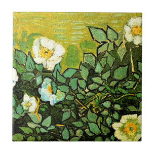 Van Gogh - Rosas selvagens