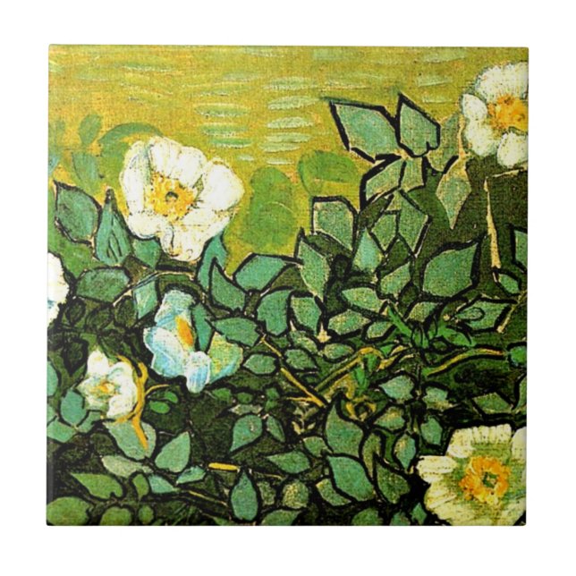 Van Gogh - Rosas selvagens (Frente)