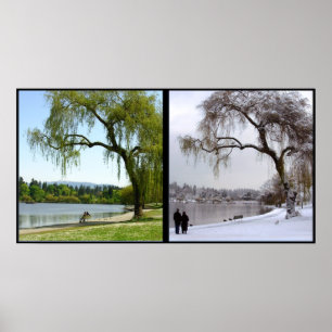 Vancouver Seasons Poster Impressão Canadá Souven