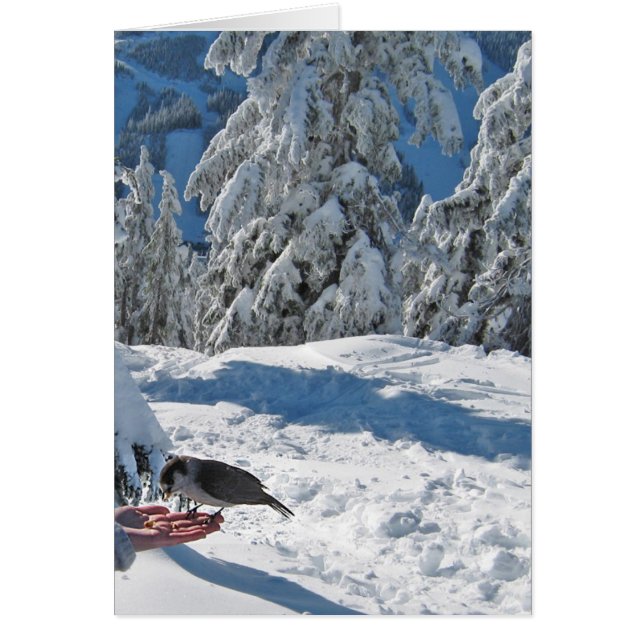 Vancôver, BC, cartão de Canadá (Frente)