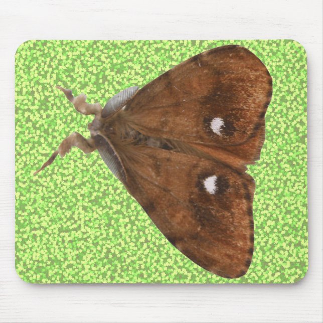Vapourer Moth Mousepad (Frente)