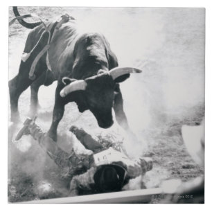 Vaqueiro na terra após a queda fora touro