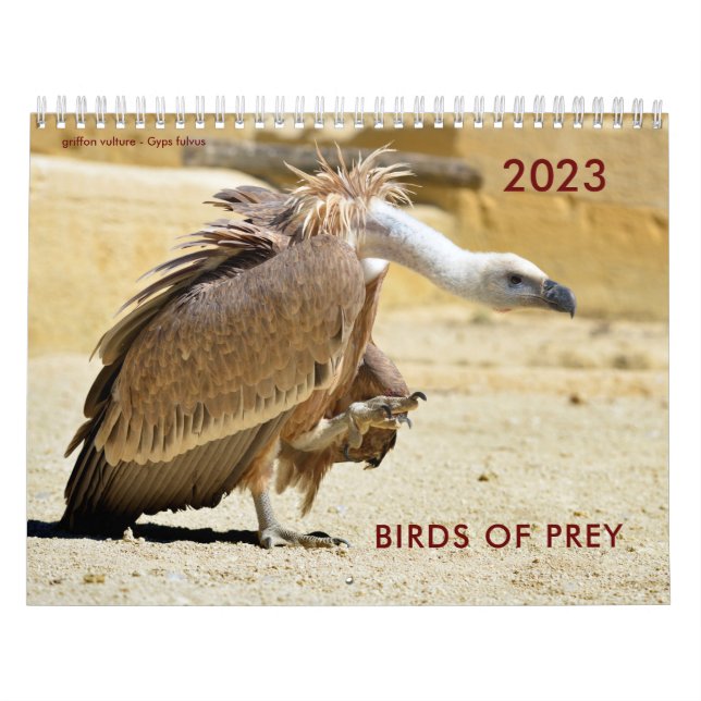 Várias aves do calendário das presas (Capa)