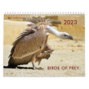 Várias aves do calendário das presas