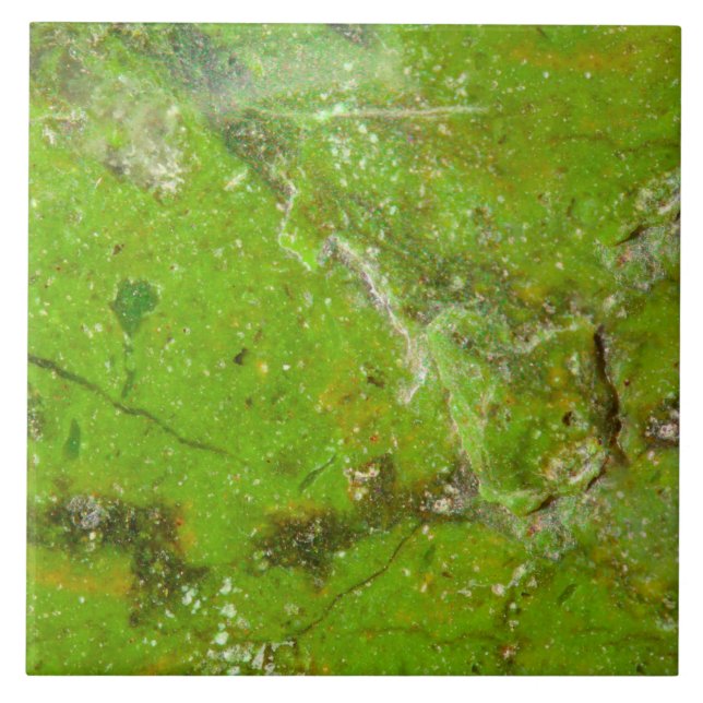 Várias estruturas de textura de gemstone de semi-p (Frente)