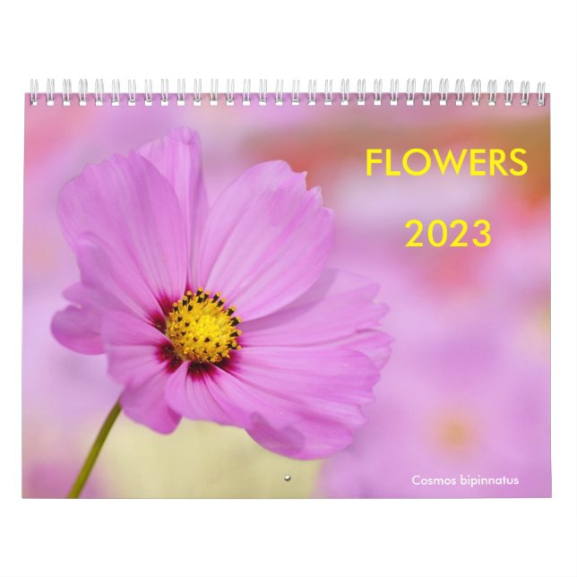 Várias flores calendário (Capa)