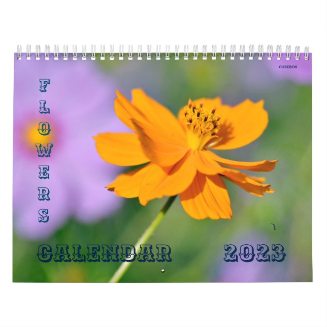 Várias flores calendário (Capa)