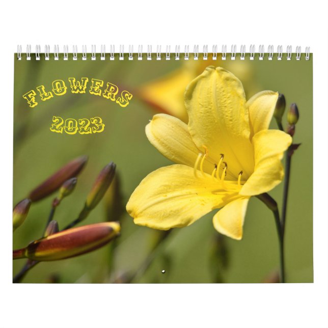 Várias flores calendário (Capa)