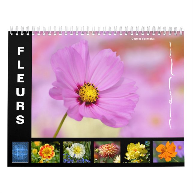 Várias flores Calendário de 12 meses (Capa)