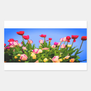 Várias Tulipas 3 Adesivos
