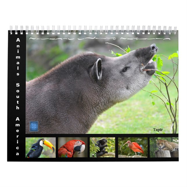 Vários animais da América do Sul Calendário de 12  (Capa)