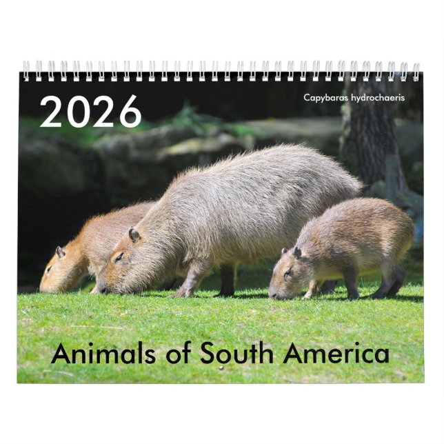 Vários animais do calendário da América do Sul (Capa)
