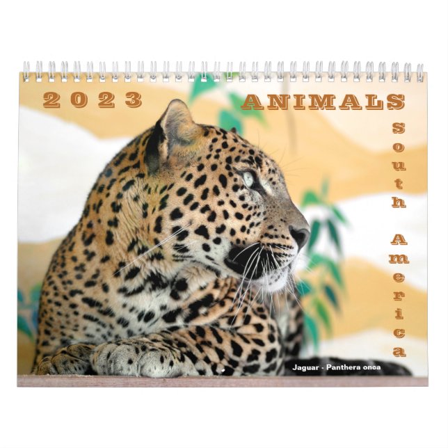 Vários animais do calendário da América do Sul (Capa)