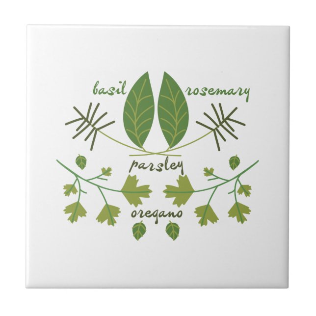 Vários Plantas (Frente)