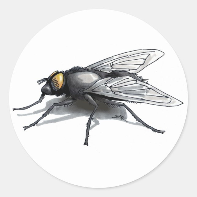 Varrer adesivos redondos brancos e grandes (Frente)