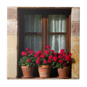 Vasos de flores na janela da aldeia