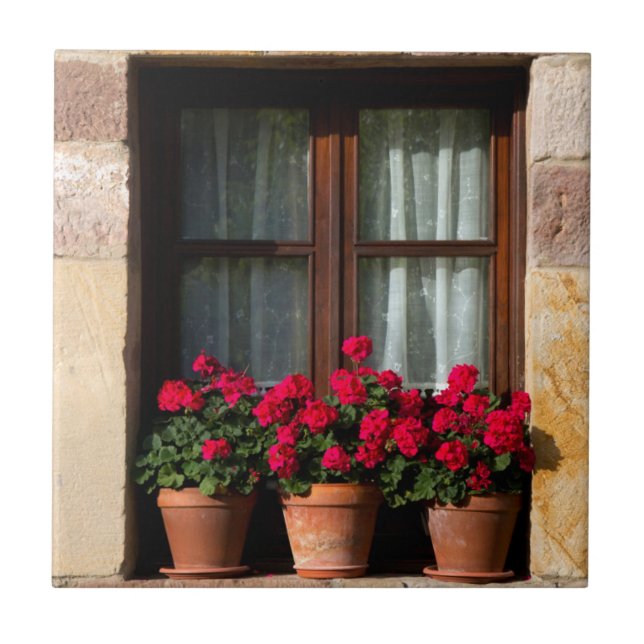 Vasos de flores na janela da aldeia (Frente)