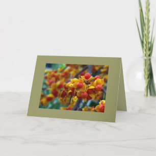 Vazio de Cartão de Saudação Personalizado de Foto