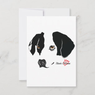 Vazio de olhos castanhos