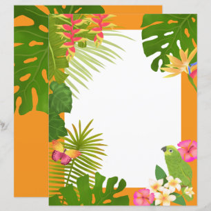 Vazio Laranja Tropical de Paraíso