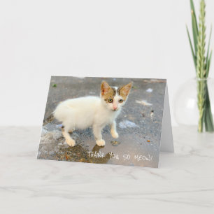 VAZIO OBRIGADO TÃO AMIGO! CARTÕES DE AGRADECIMENTO