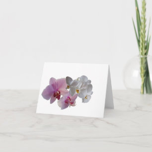 Vazio "Orchid Bloom" Konymoi - Cartão de Saudação