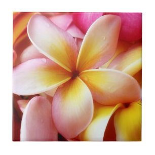Vazio personalizado flor de Havaí do Frangipani d