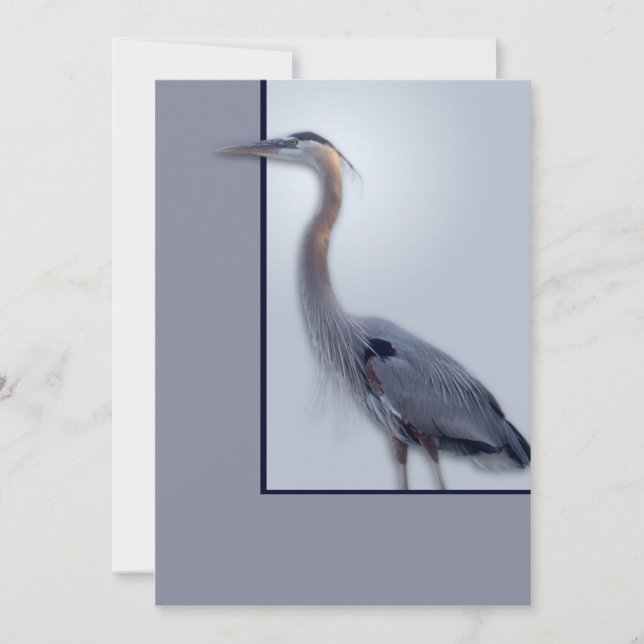 vazio temp Ann novo (Frente)