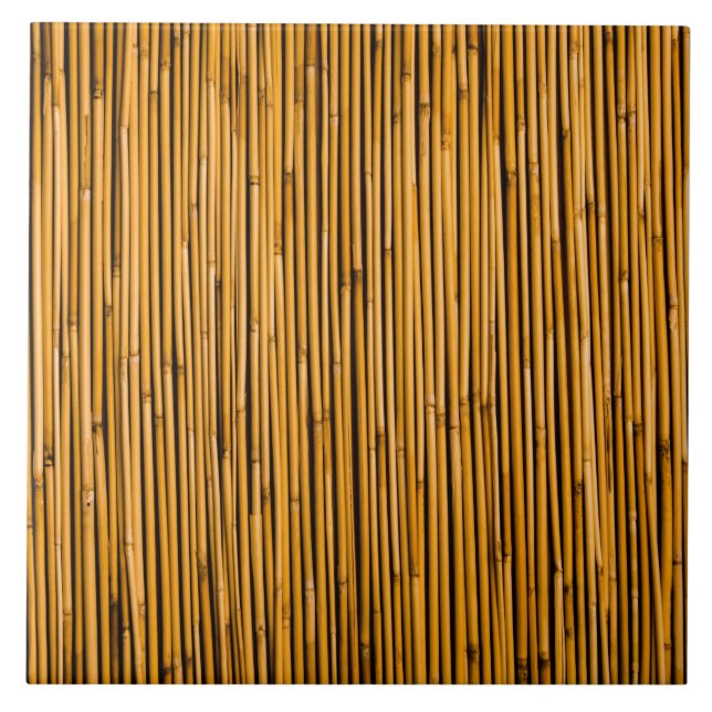 Vazio tropical da ilha do fundo de bambu tropical (Frente)