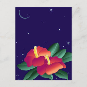 Vazios Convites Hibiscus Tropical Is Night Sky