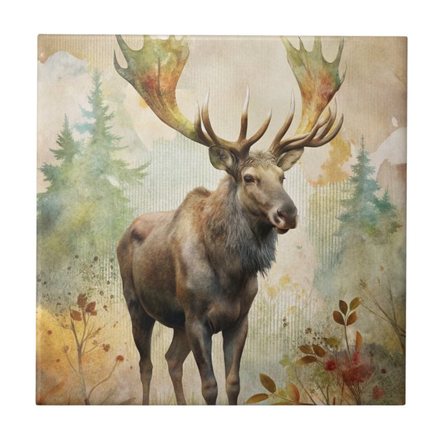 Veado em uma Floresta (Frente)