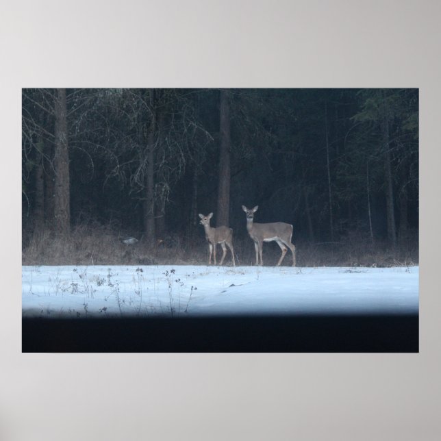 Veado-mãe e poster (Frente)
