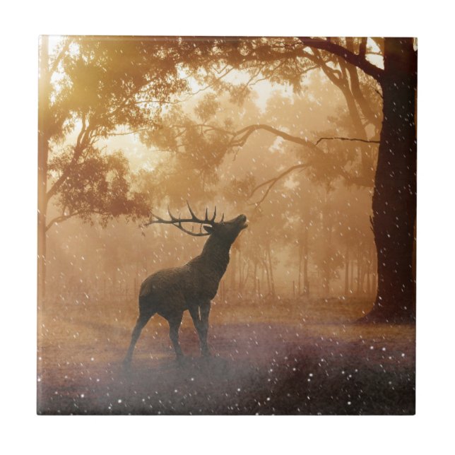 Veado Na Floresta (Frente)