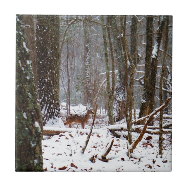 Veado na neve cai (Frente)