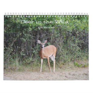 Veado no Calendário Fotográfico Selvagem
