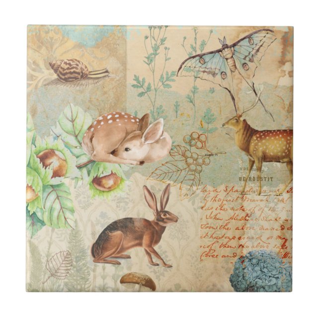 Veado Selvagem de Florestas de Decoupage Woodland, (Frente)