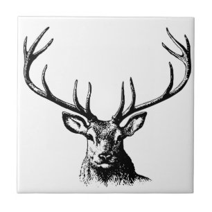 Vedante Animal Antlers Natureza Cavalos Selvagem C