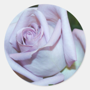 Vedantes e adesivos de envelope de Rosa Lavendar