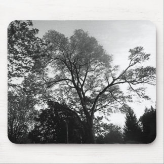 Veja minha árvore Mousepad