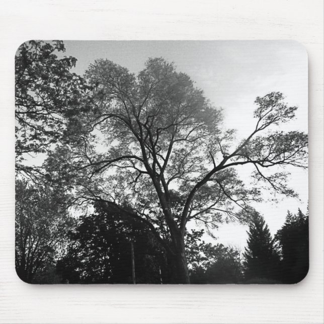 Veja minha árvore Mousepad (Frente)