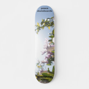veja o skate leve